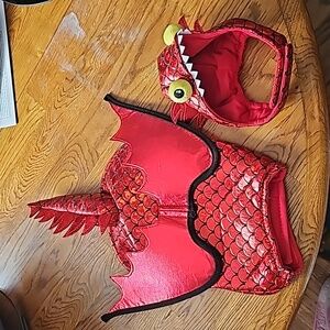 Dog Dragon costume.